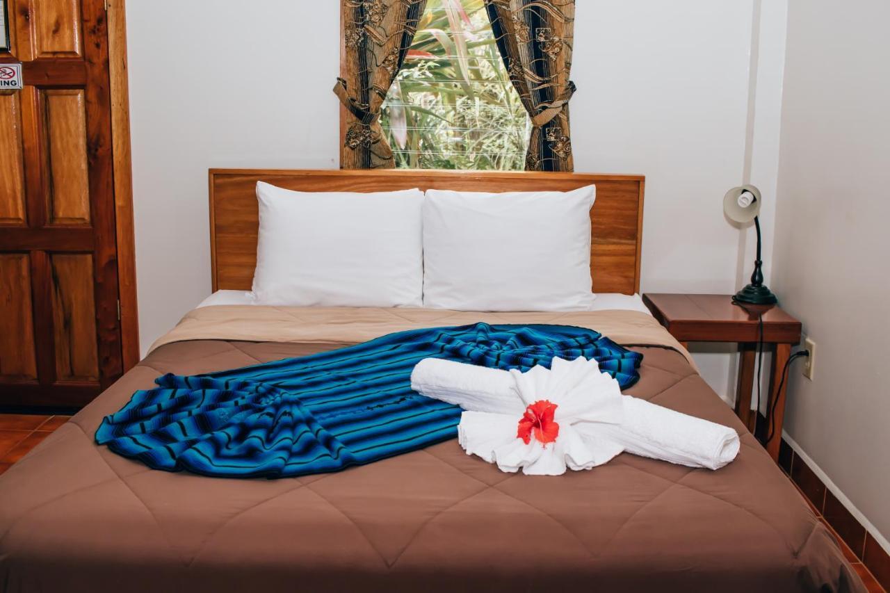 Mariposa Jungle Lodge 圣伊格纳西奥 外观 照片