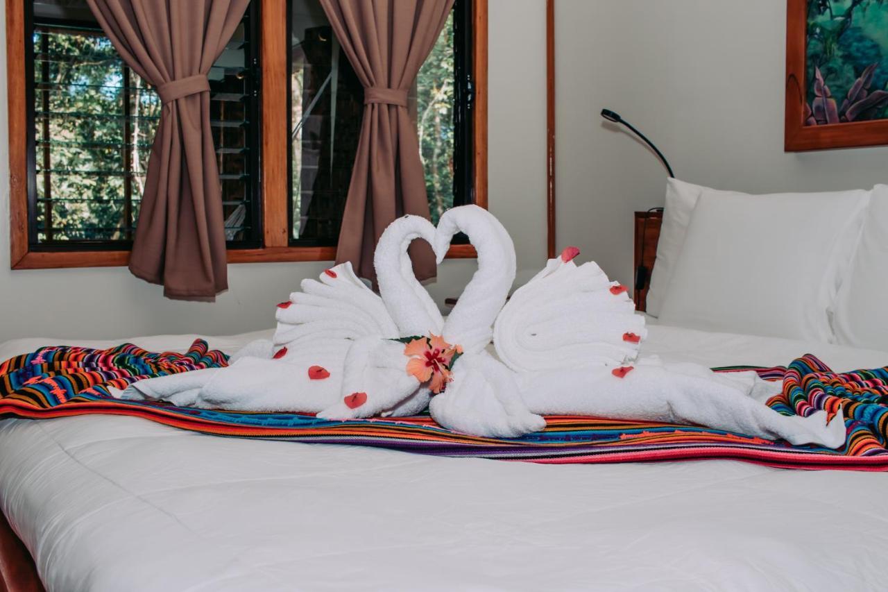 Mariposa Jungle Lodge 圣伊格纳西奥 外观 照片
