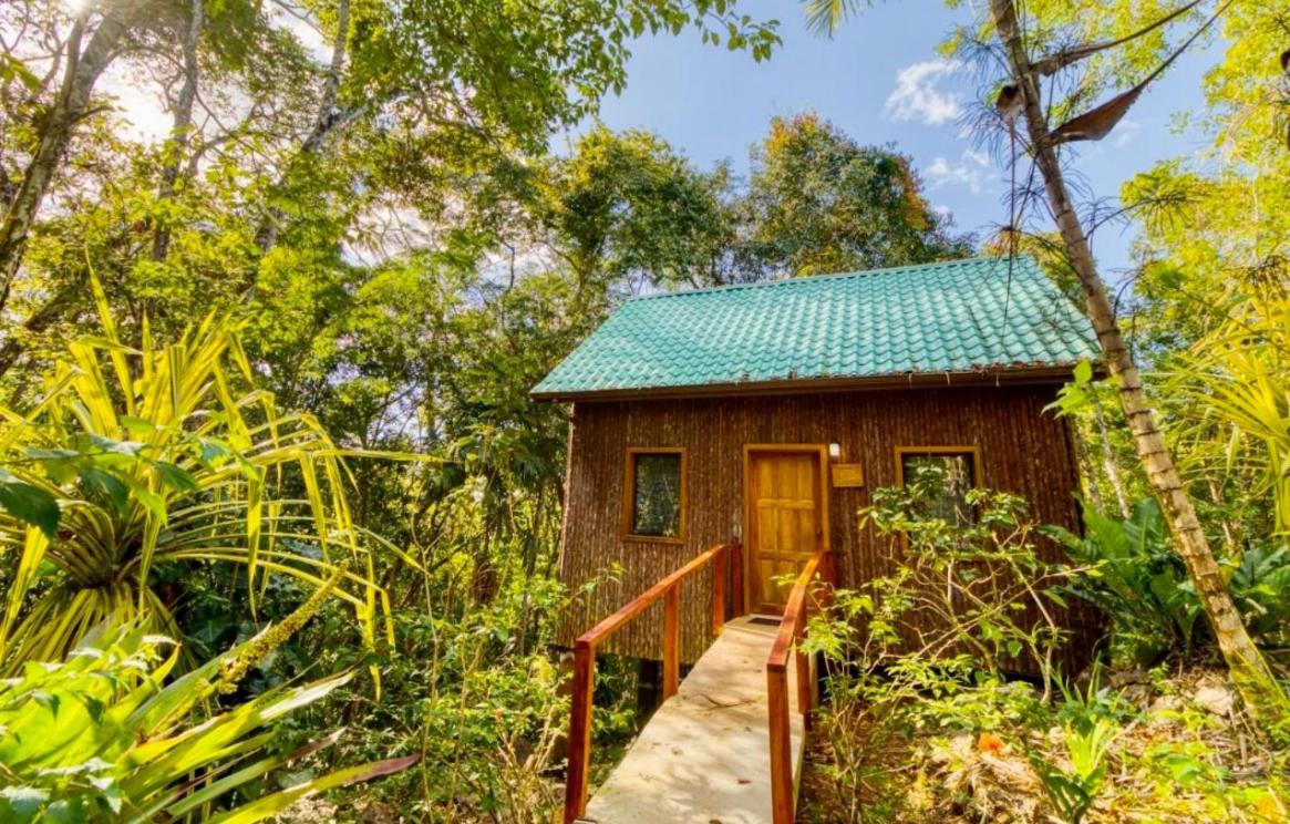 Mariposa Jungle Lodge 圣伊格纳西奥 外观 照片
