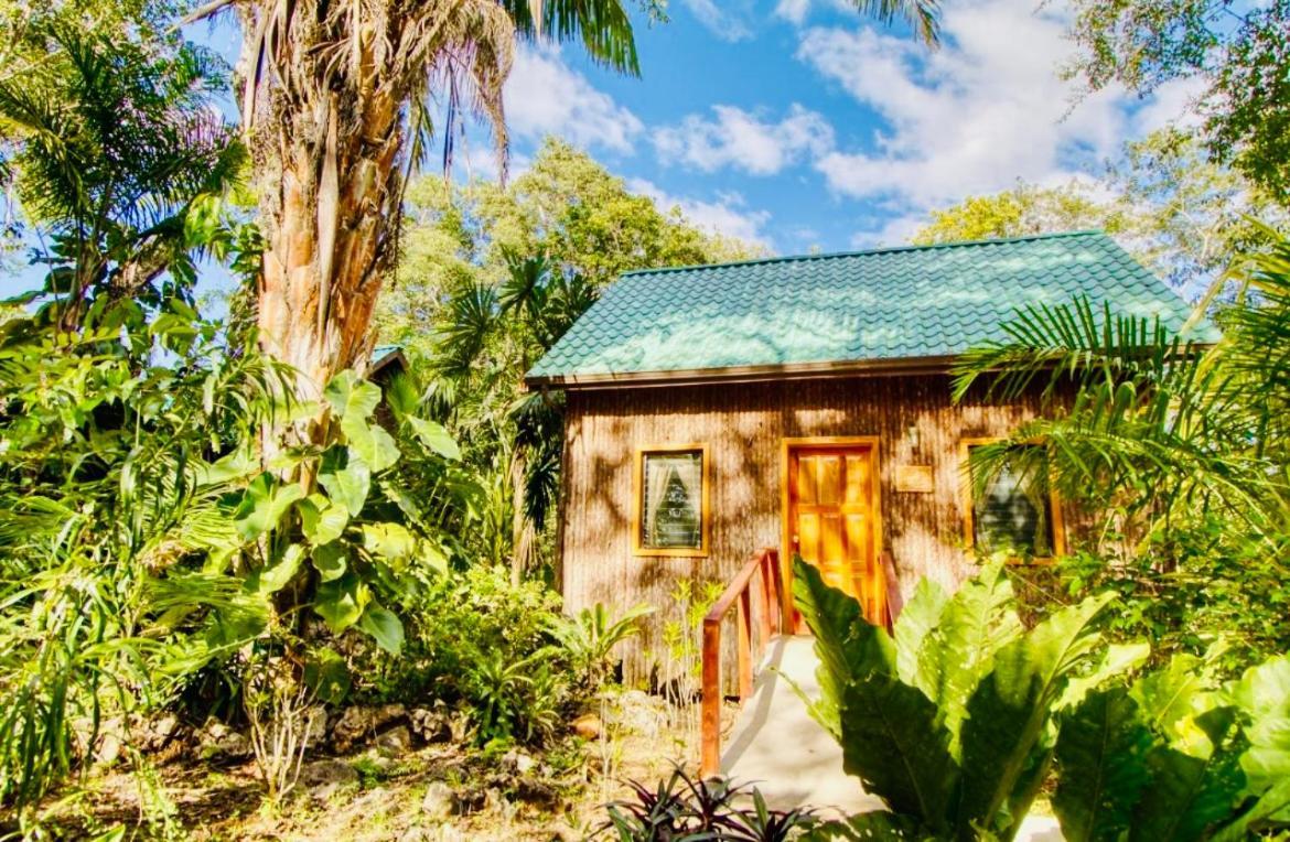 Mariposa Jungle Lodge 圣伊格纳西奥 外观 照片