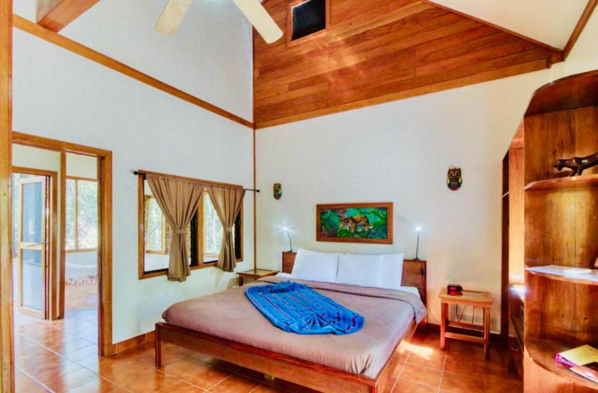 Mariposa Jungle Lodge 圣伊格纳西奥 外观 照片