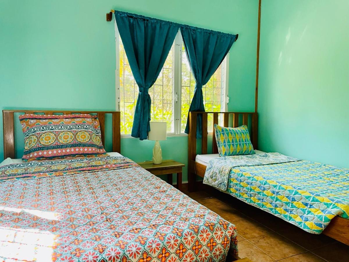 Mariposa Jungle Lodge 圣伊格纳西奥 外观 照片