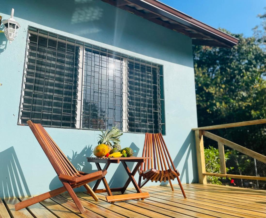 Mariposa Jungle Lodge 圣伊格纳西奥 外观 照片