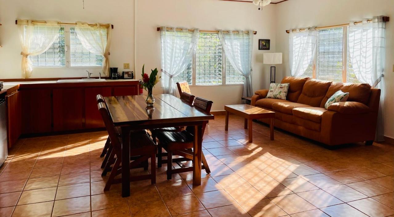 Mariposa Jungle Lodge 圣伊格纳西奥 外观 照片