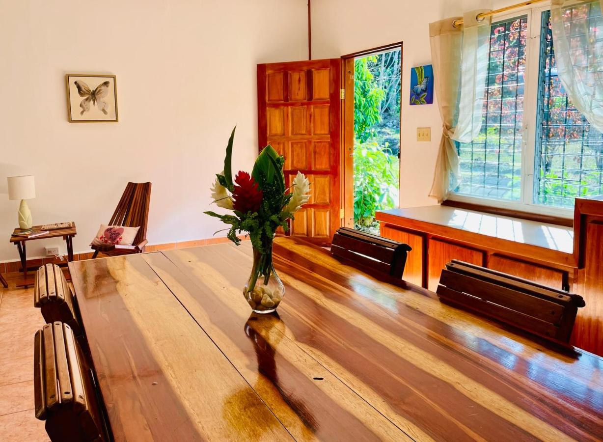 Mariposa Jungle Lodge 圣伊格纳西奥 外观 照片