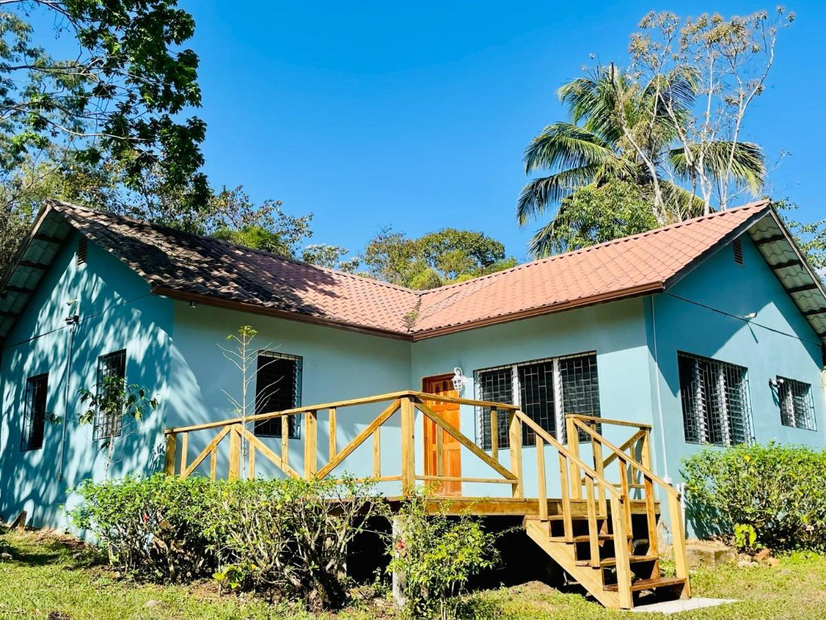 Mariposa Jungle Lodge 圣伊格纳西奥 外观 照片