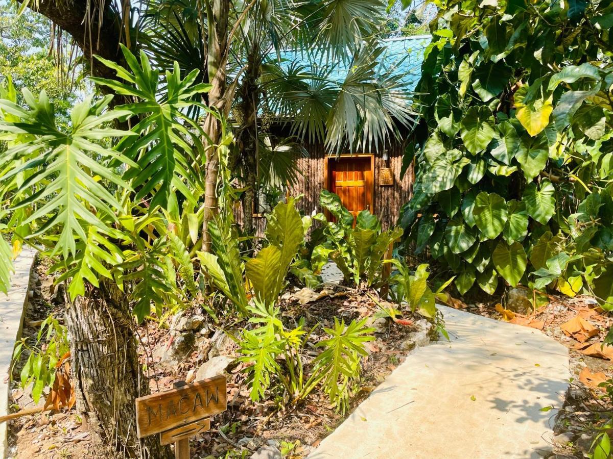 Mariposa Jungle Lodge 圣伊格纳西奥 外观 照片