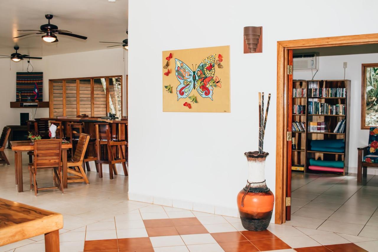 Mariposa Jungle Lodge 圣伊格纳西奥 外观 照片