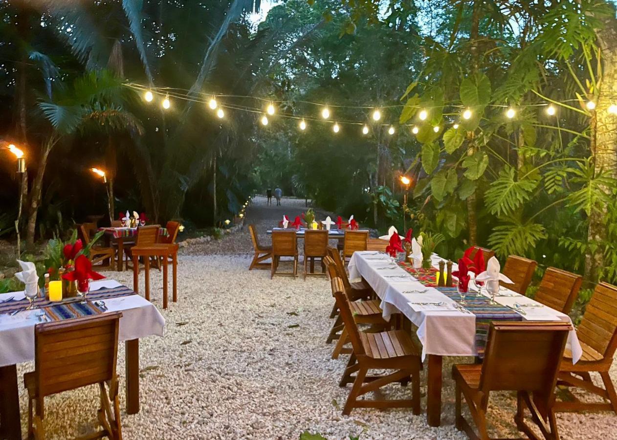 Mariposa Jungle Lodge 圣伊格纳西奥 外观 照片