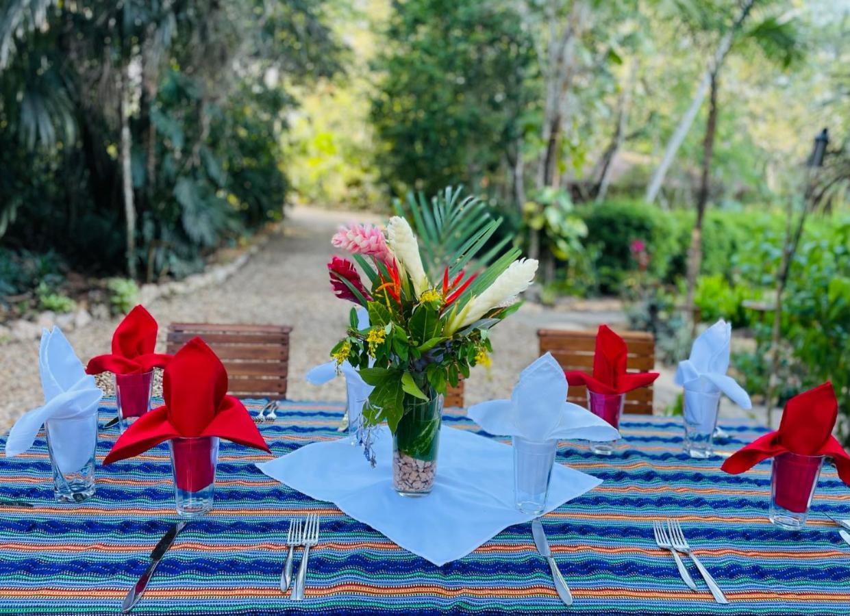 Mariposa Jungle Lodge 圣伊格纳西奥 外观 照片