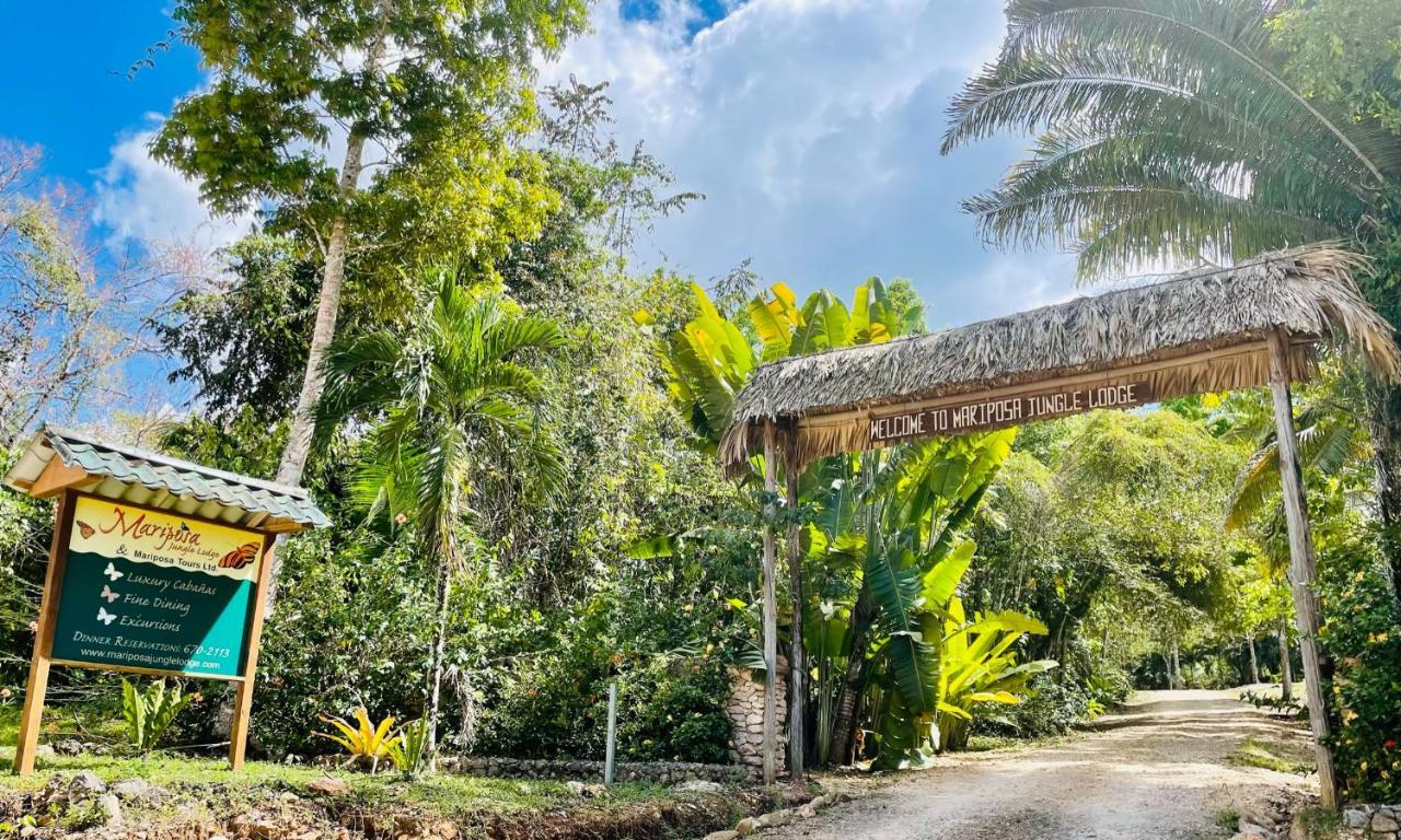Mariposa Jungle Lodge 圣伊格纳西奥 外观 照片