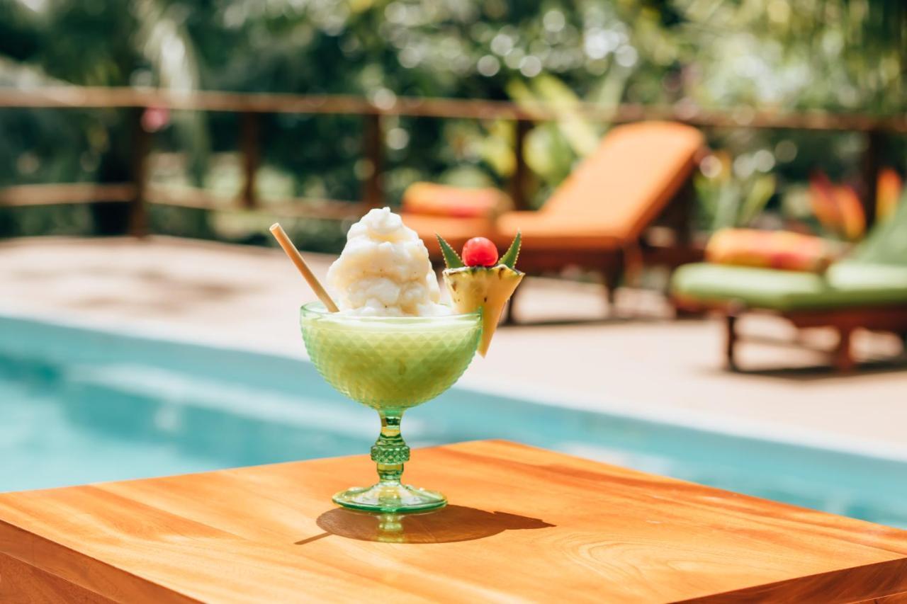 Mariposa Jungle Lodge 圣伊格纳西奥 外观 照片