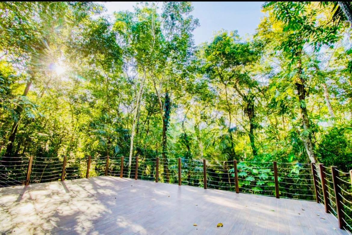 Mariposa Jungle Lodge 圣伊格纳西奥 外观 照片